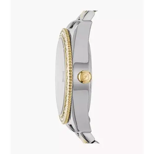 Orologio Donna Fossil Scarlette ES4319 miniatura 2