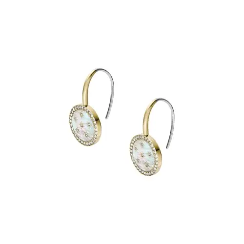Fossil Women's Stainless Steel with Hook closure Earrings