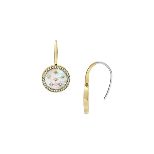 Fossil Women's Stainless Steel with Hook closure Earrings miniatura 3