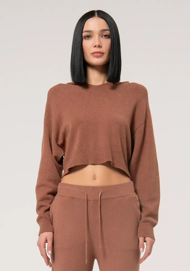 Fracomina Maglia crop con cappuccio in maglia marrone