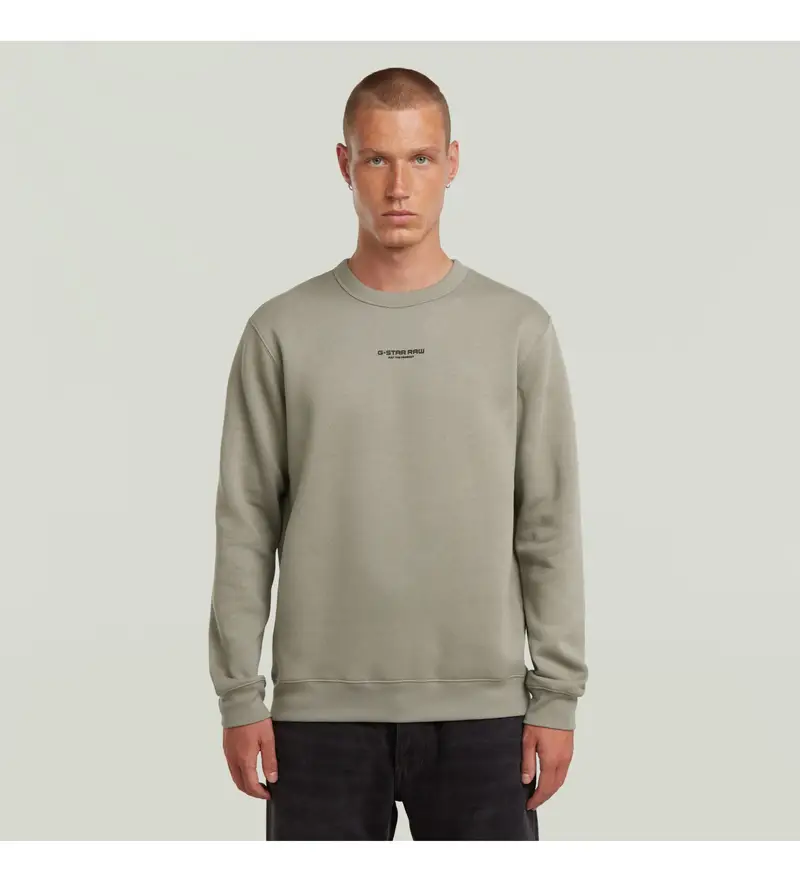 per uomo D24914-C235-G106 Felpa grigia con logo centrale sul petto (S), Casual, Grigio, Cotone biologico, Sostenibile