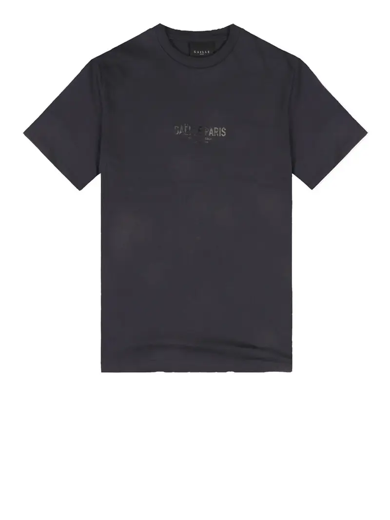 GAELLE T-shirt Uomo Grigio 2845529