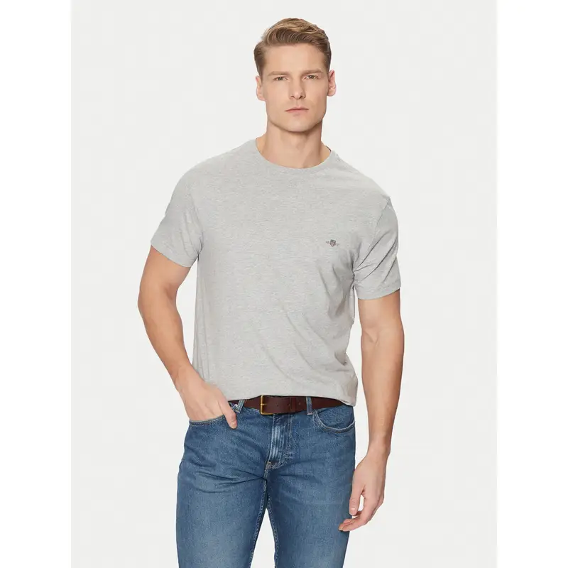 Gant T-shirt Grigio 4239507