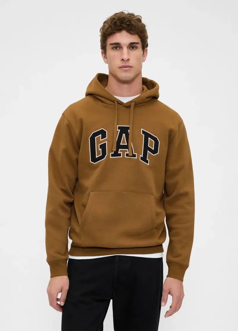 Felpa Con Cappuccio E Logo, Uomo, Marrone