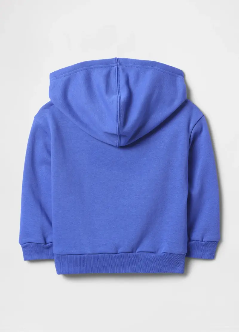 Felpa In French Terry Con Cappuccio E Stampa Logo, Unisex, Blu miniatura 2