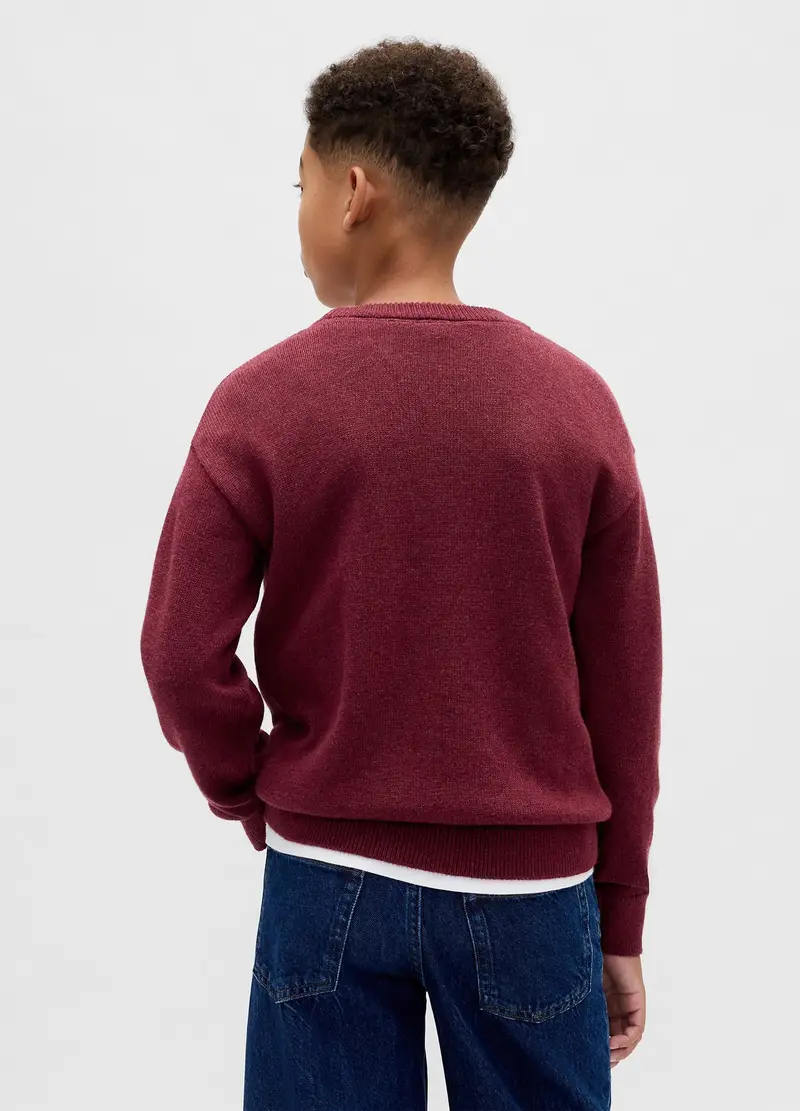 Maglione Rosso In Cotone, Bambino, Rosso miniatura 3