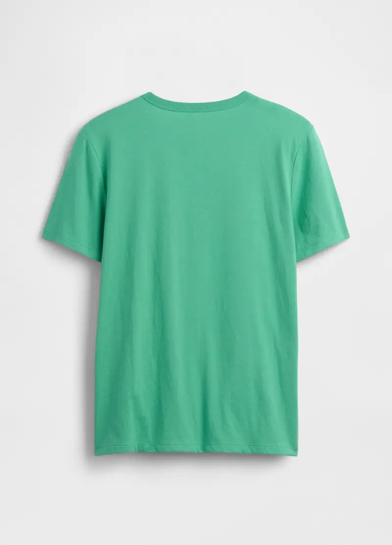 GAP KIDS T-shirt Bambino Verde 4315793 miniatura 2