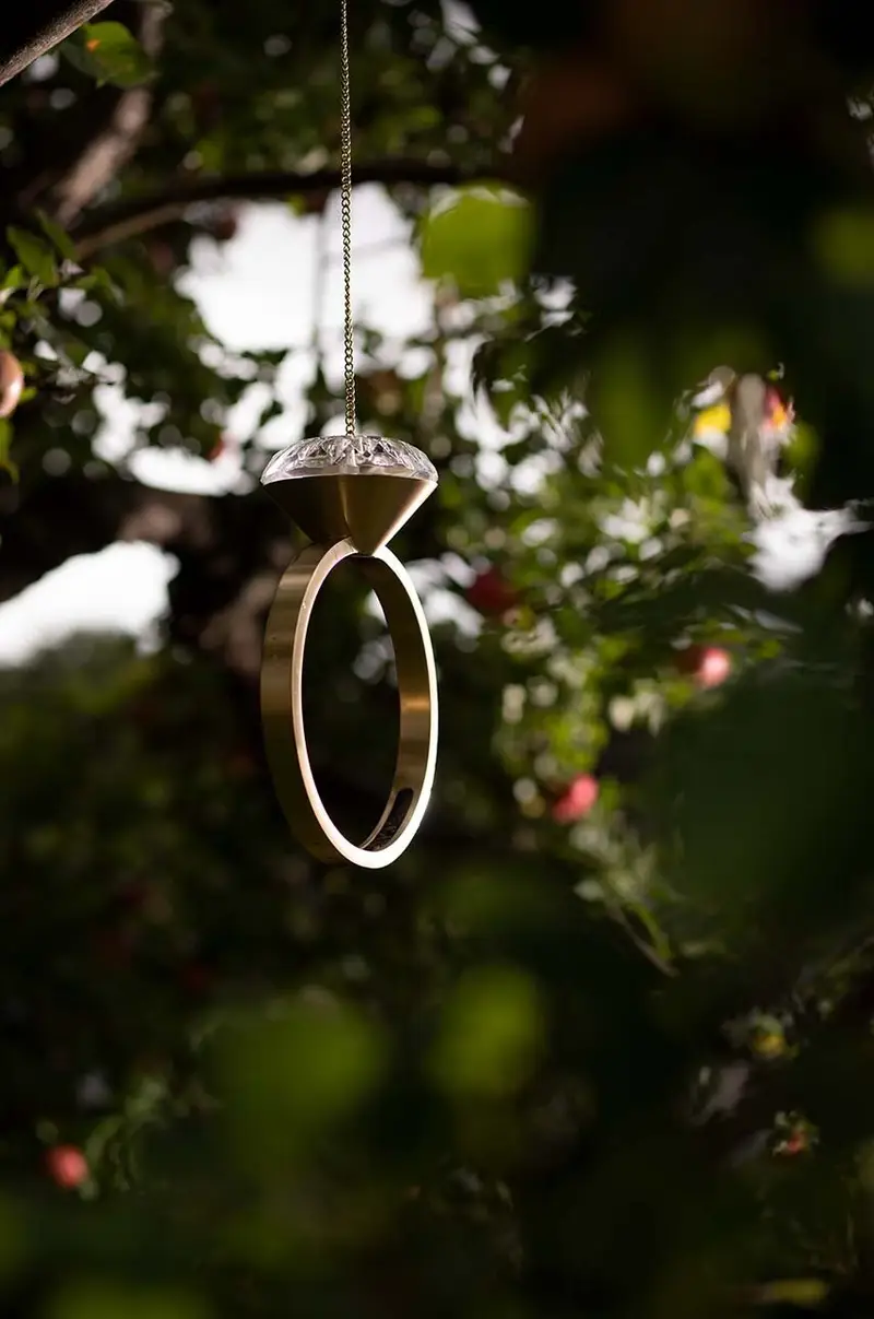 mangiatoia per uccelli Diamond Giallo miniatura 5