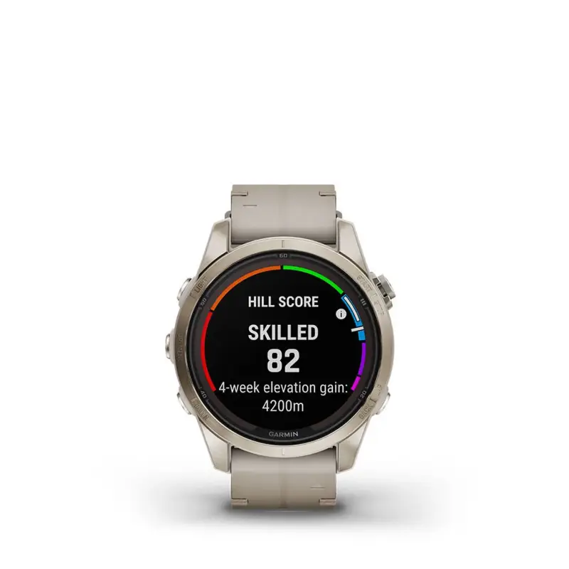 Smartwatch Garmin Fenix 010-02776-30