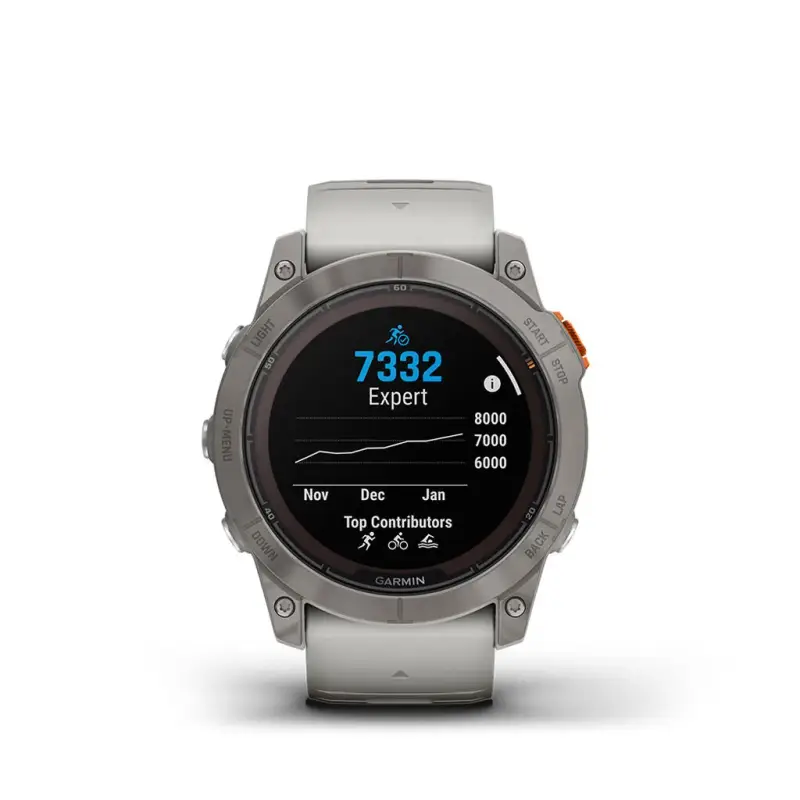Smartwatch Garmin Fenix 010-02778-15