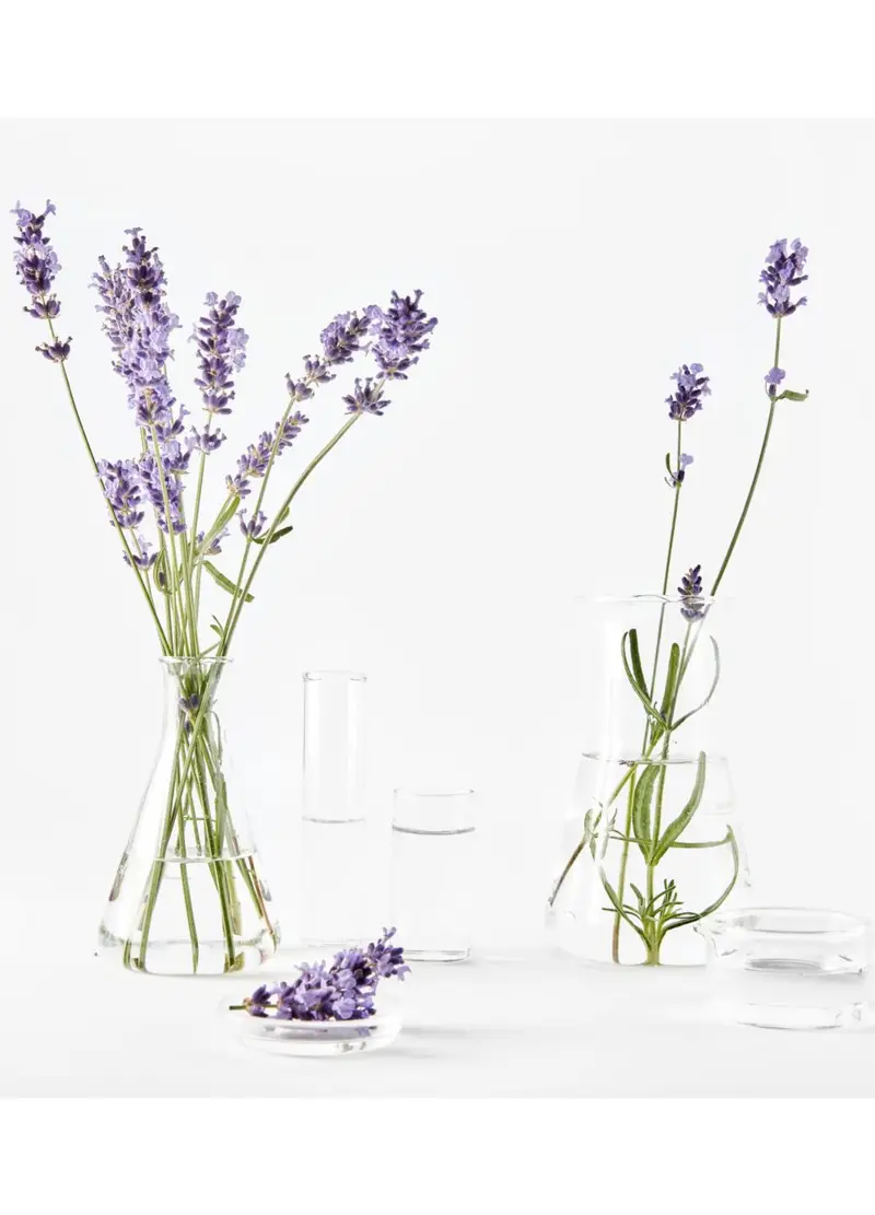 Garnier Crema viso Donna Crema 966306 miniatura 2