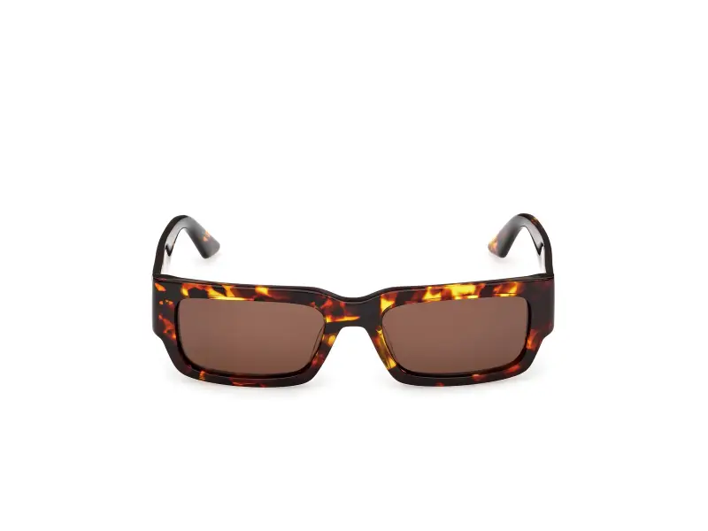 Unisex GD0068 52E Occhiali da sole Acetato Havana Marrone Squadrata Normale miniatura 2