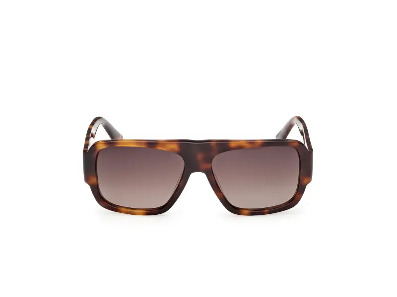 Unisex GD0069 52F Occhiali da sole Acetato Havana Marrone Squadrata Normale miniatura 2