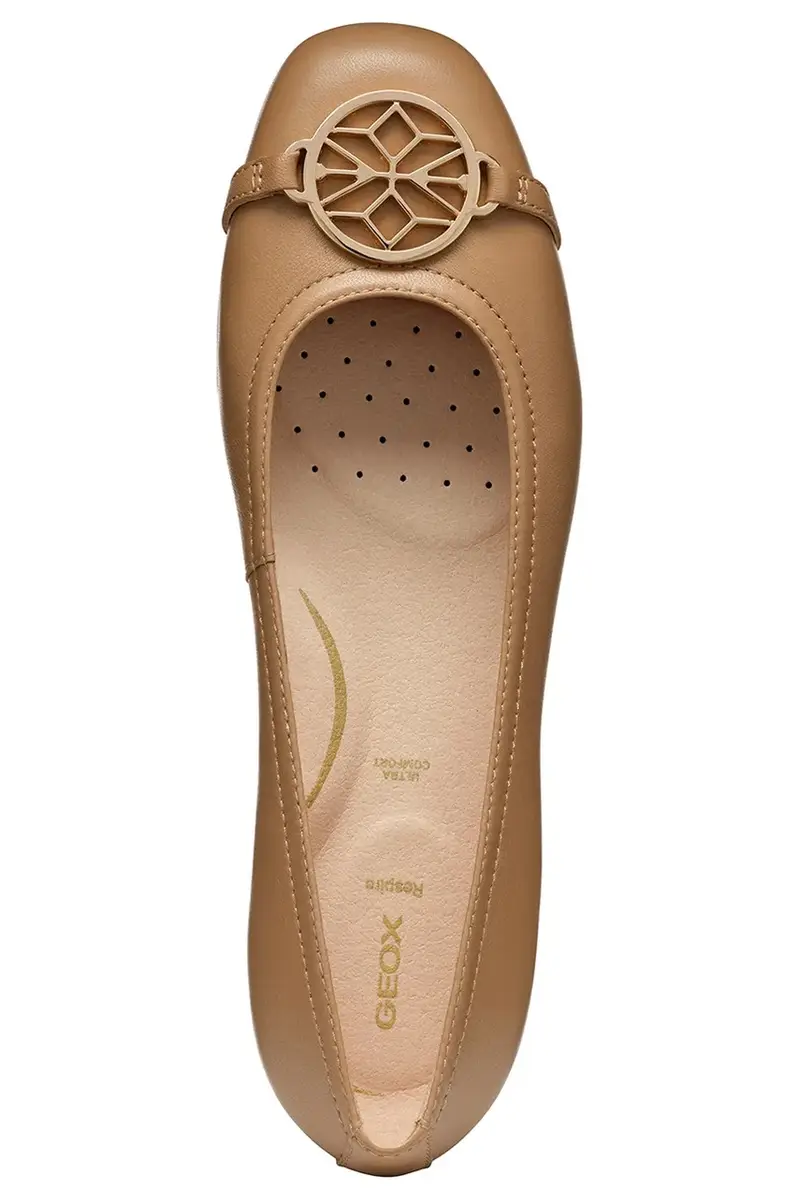 Geox Ballerine Marrone 3138253 miniatura 5