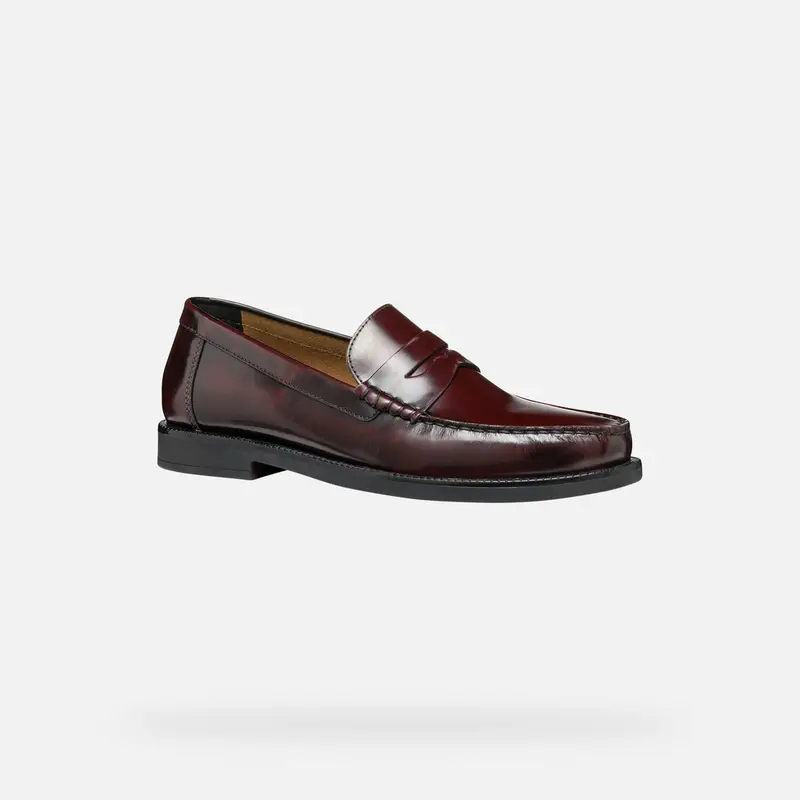 GEOX Scarpe Recanati Uomo Bordeaux miniatura 3