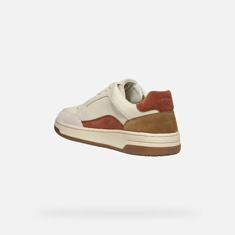 GEOX Scarpe Sedral Court Uomo Beige Medio miniatura 3