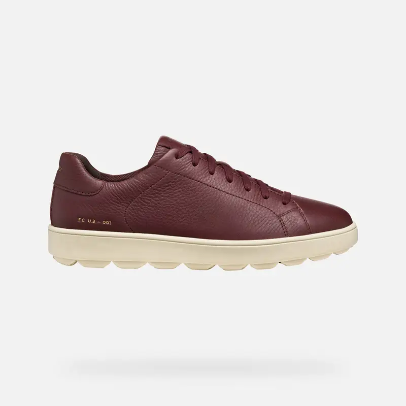 GEOX Scarpe Spherica Ecub-1 Uomo Bordeaux