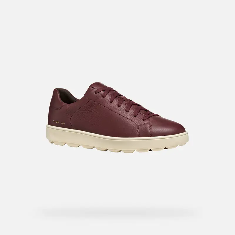 GEOX Scarpe Spherica Ecub-1 Uomo Bordeaux miniatura 2