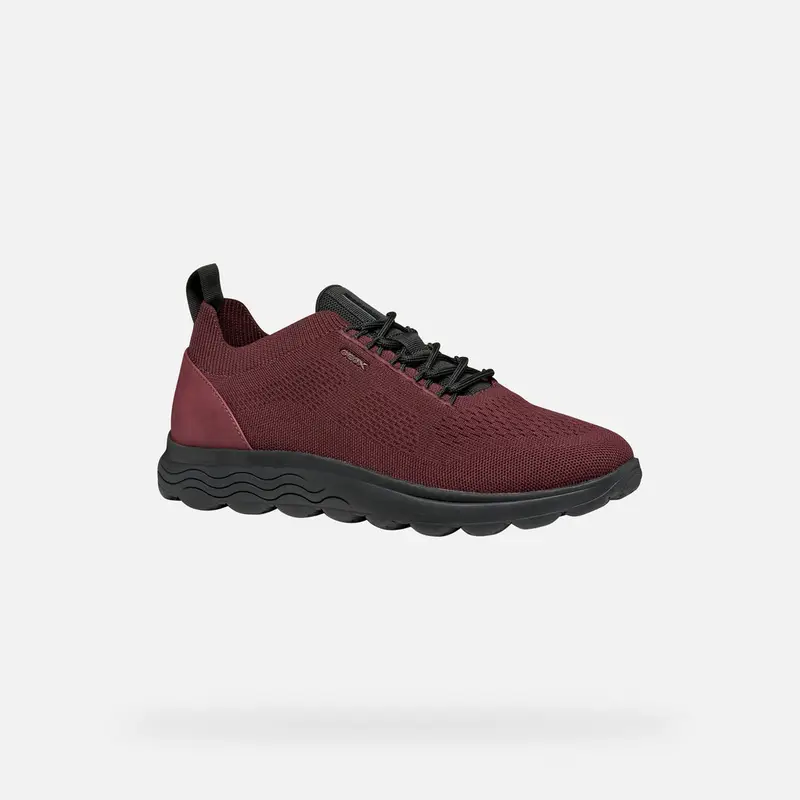 GEOX Scarpe Spherica Uomo Bordeaux/nero miniatura 2