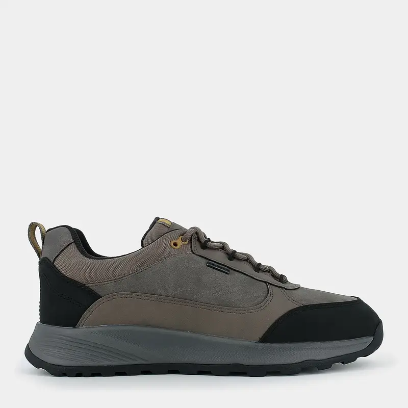 Sneakers Geox da Uomo, grigio