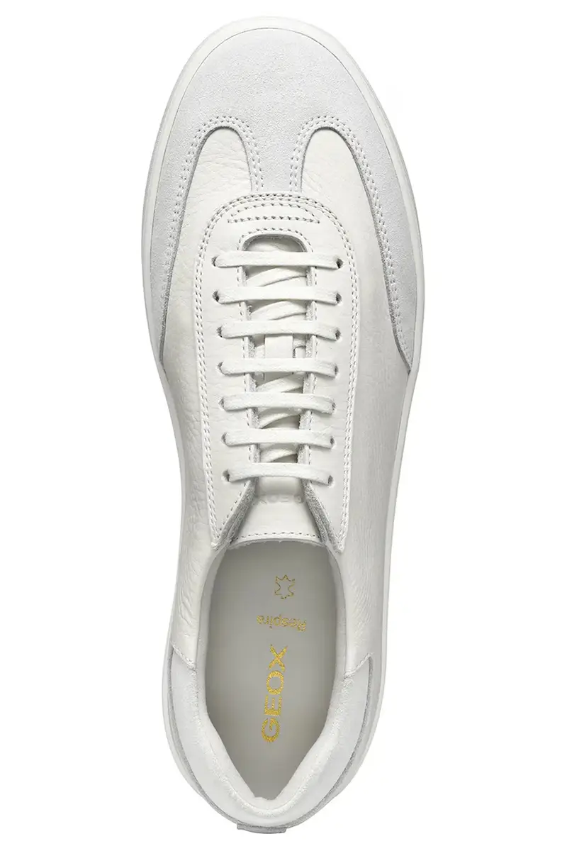 sneakers in pelle U REGIO uomo colore bianco U55CHA 04622 C1000 miniatura 5