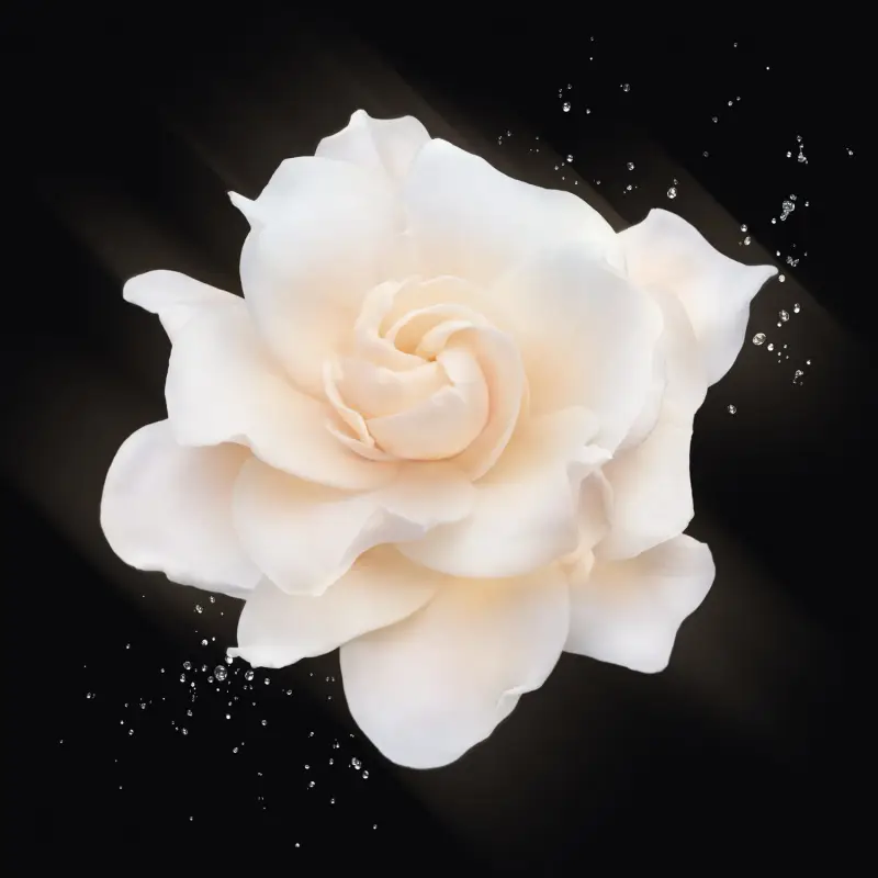 Giorgio Armani Eau de Toilette Donna 3063724 miniatura 3