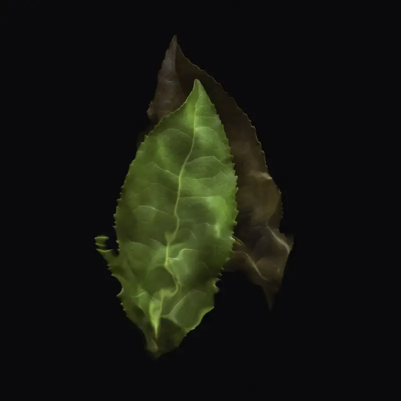 Giorgio Armani Eau de Toilette Uomo Nero 3053033 miniatura 3