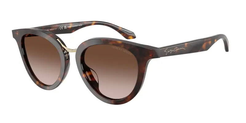 Donna Giorgio Armani AR8252U 612413 Occhiali da sole Acetato Tartaruga Marrone Rotonda Normale Sfumato