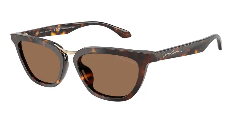 Donna Giorgio Armani AR8253U 612473 Occhiali da sole Acetato Tartaruga Marrone Farfalla Normale
