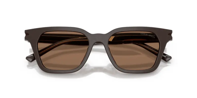 Unisex Giorgio Armani AR8251U 640273 Occhiali da sole Acetato Marrone Marrone Pillow Normale miniatura 2
