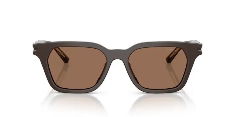 Unisex Giorgio Armani AR8251U 640273 Occhiali da sole Acetato Marrone Marrone Pillow Normale miniatura 3