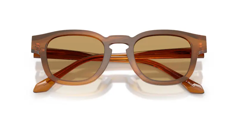 Unisex Giorgio Armani AR8254U 616373 Occhiali da sole Acetato Tartaruga Marrone Pillow Normale miniatura 2