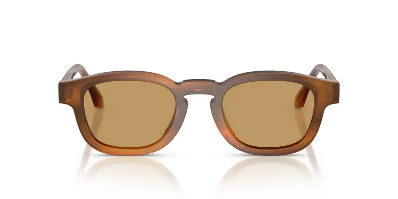 Unisex Giorgio Armani AR8254U 616373 Occhiali da sole Acetato Tartaruga Marrone Pillow Normale miniatura 3