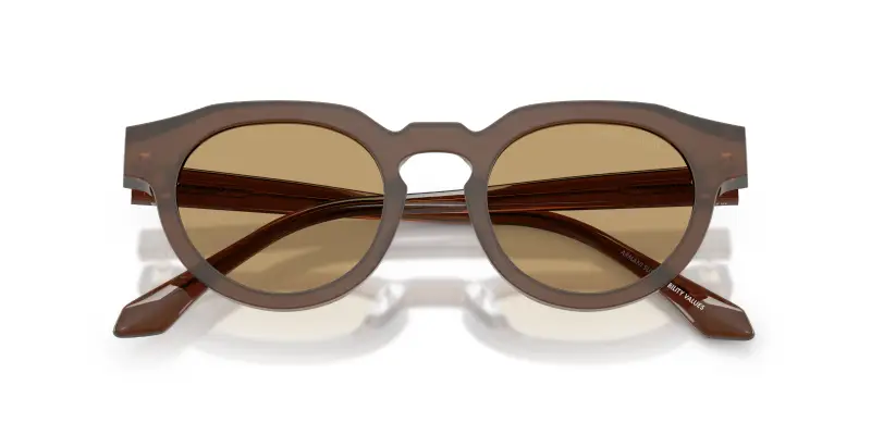 Unisex Giorgio Armani AR8255U 639473 Occhiali da sole Acetato Marrone Marrone Rotonda Normale miniatura 2