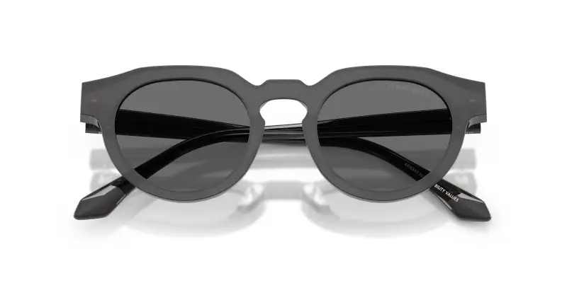 Unisex Giorgio Armani AR8255U 639587 Occhiali da sole Acetato Tartaruga Grigio Rotonda Normale miniatura 2
