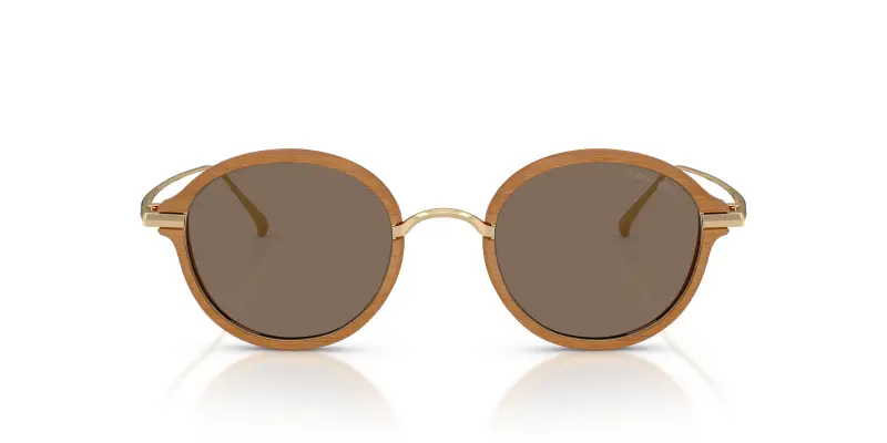 Giorgio Armani Occhiali da sole Uomo Marrone 2912794 miniatura 3