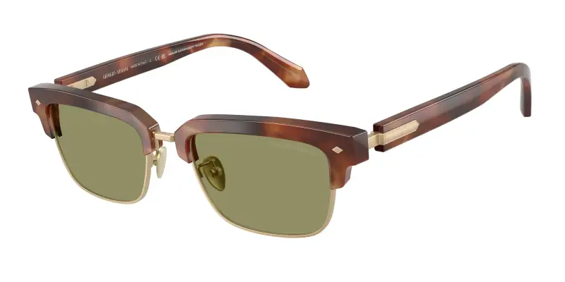 Giorgio Armani Occhiali da sole Uomo Marrone 2912491