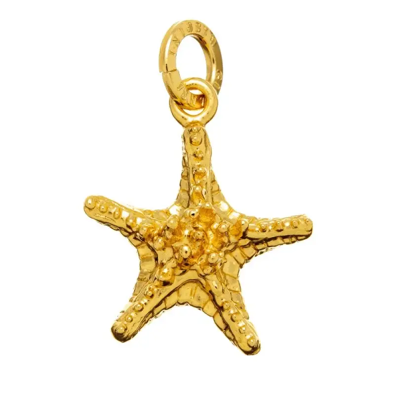 Ciondolo Charm Stella Grassa Dorata - Giovanni Raspini