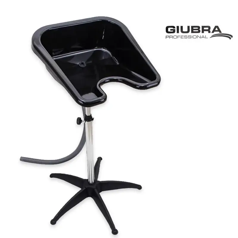 lavatesta professionale basculante