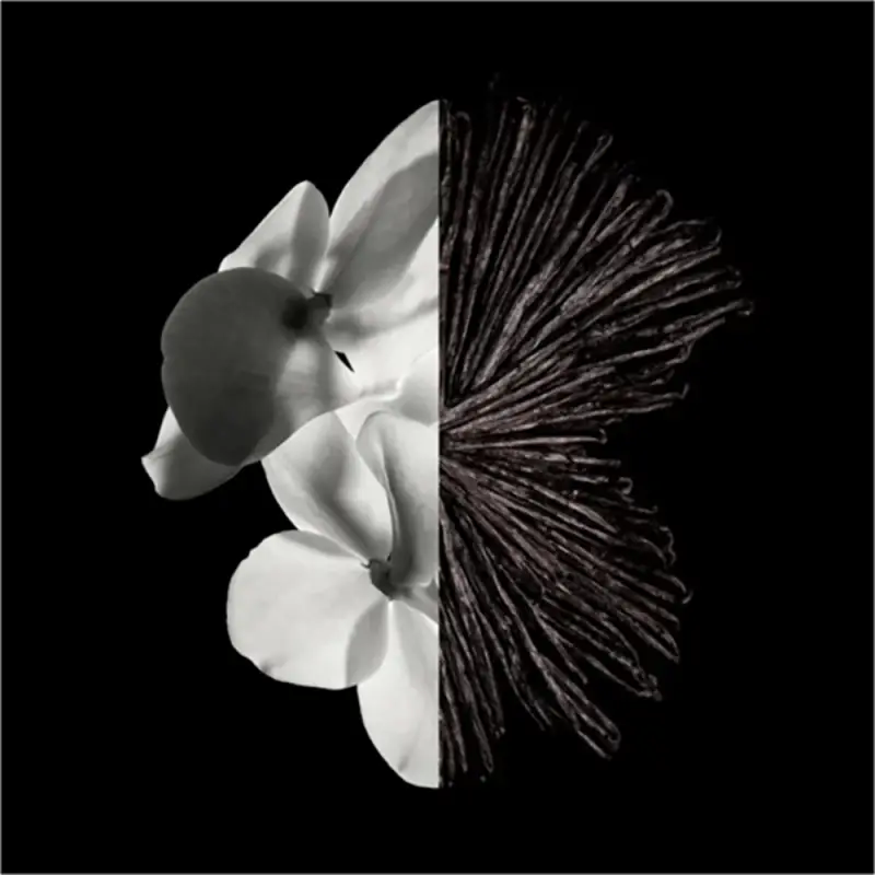 Givenchy Eau de Parfum Uomo 3061903 miniatura 2