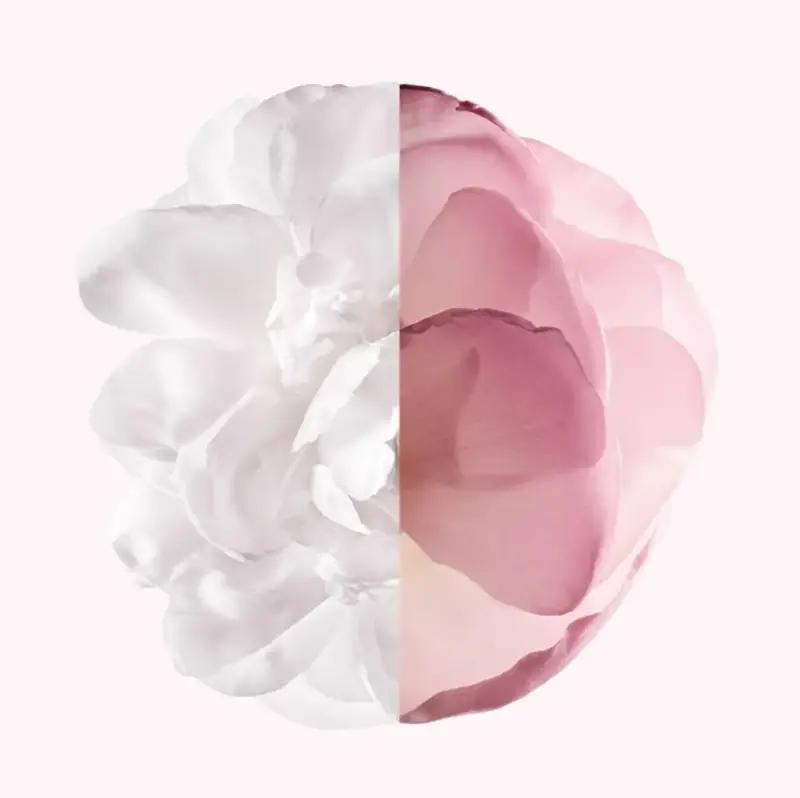 Givenchy Eau de Parfum Donna Rosa 3000564 miniatura 3