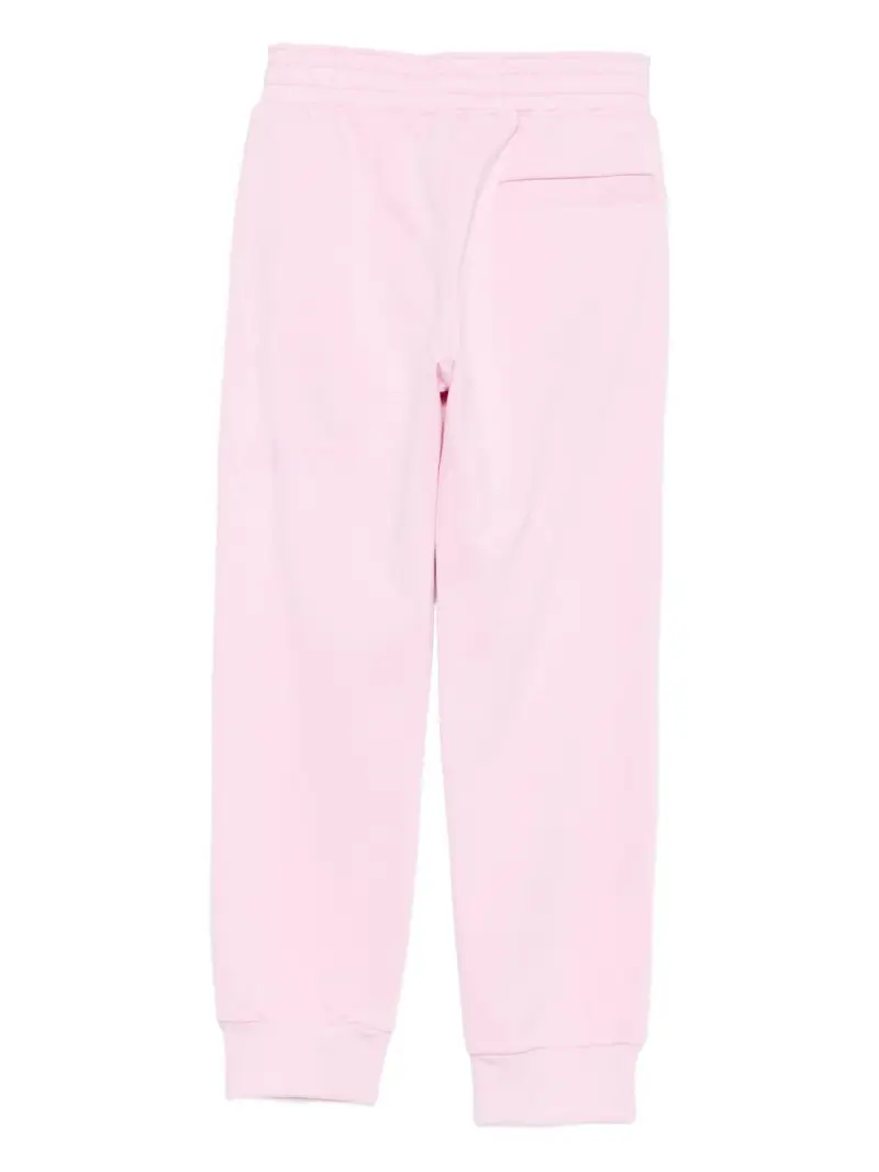 H3092246N Rosa miniatura 2