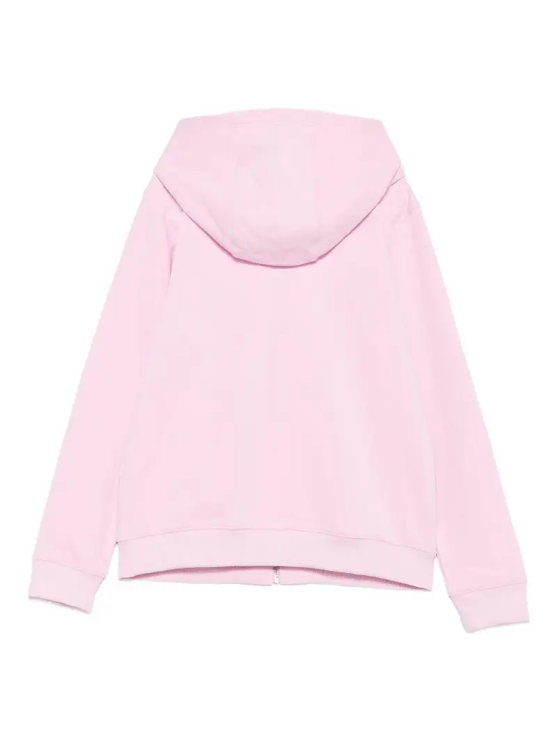 H3093946N Rosa miniatura 3