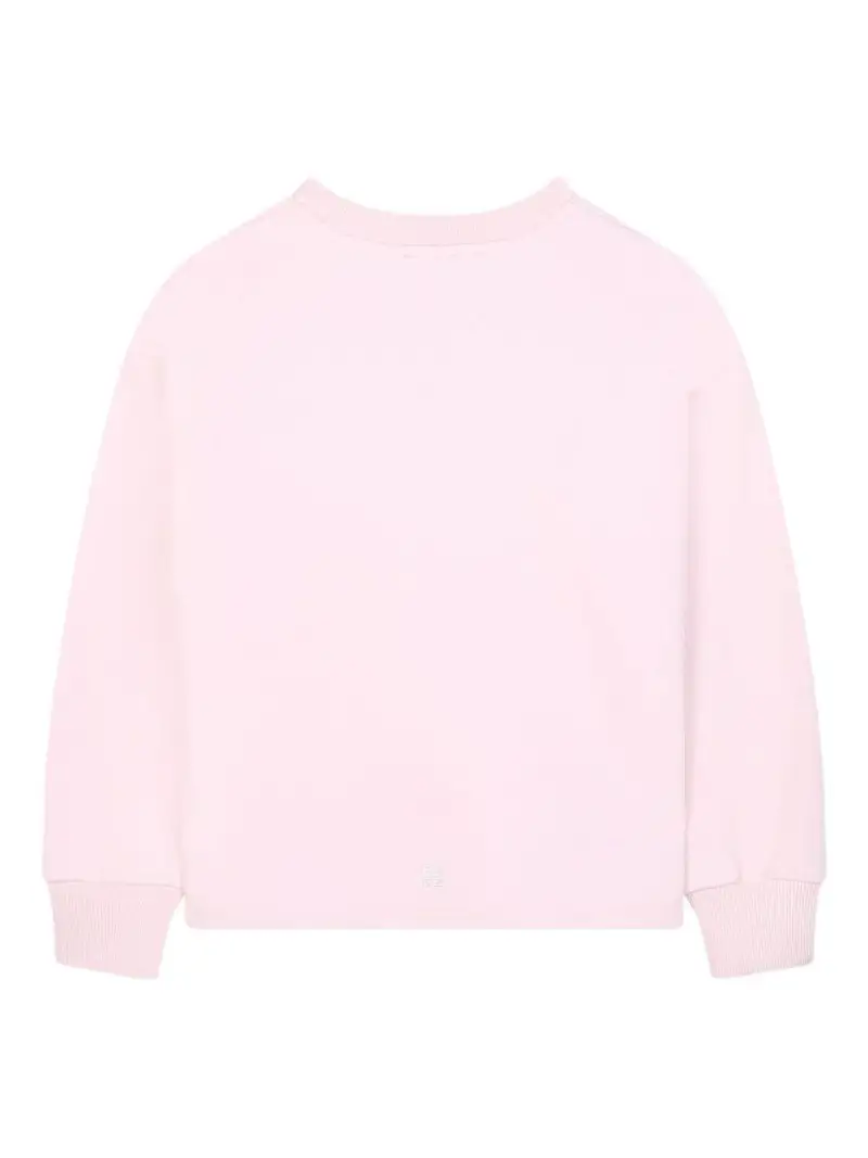 H3098844Z Rosa miniatura 2