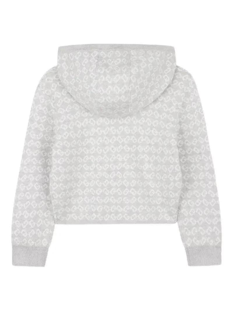 H30991A01 Grigio miniatura 2