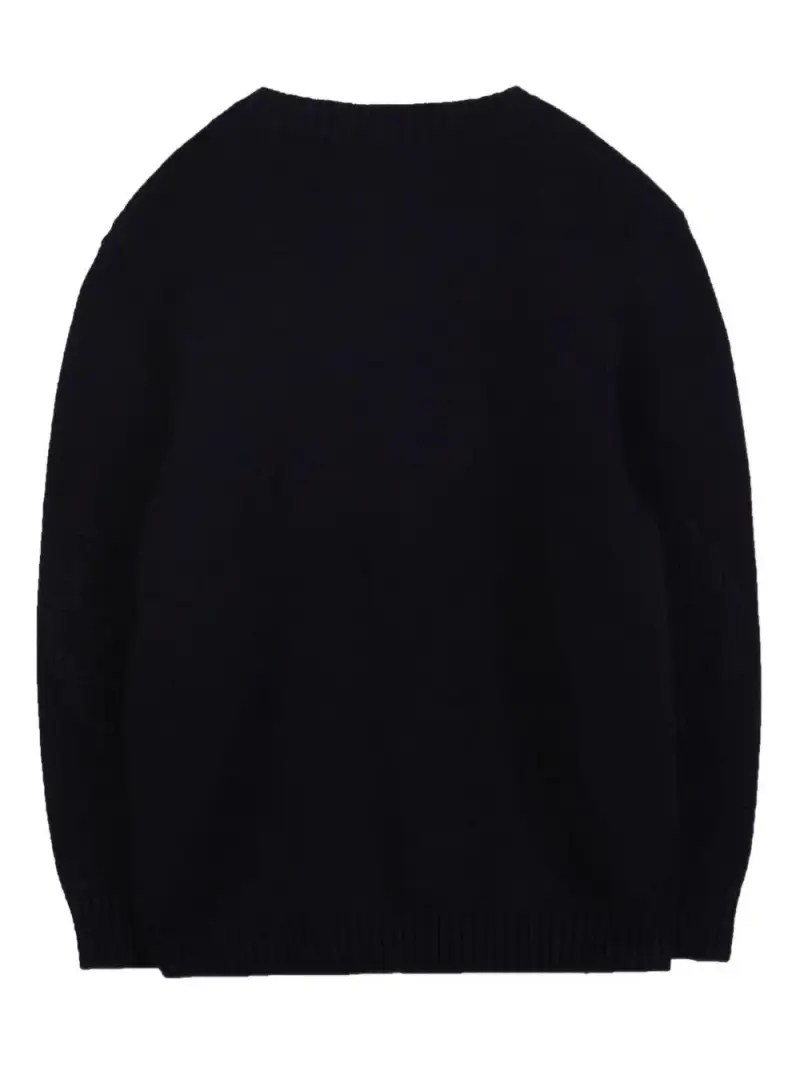 Maglione con Ricamo e Orlo a Coste Marine miniatura 2