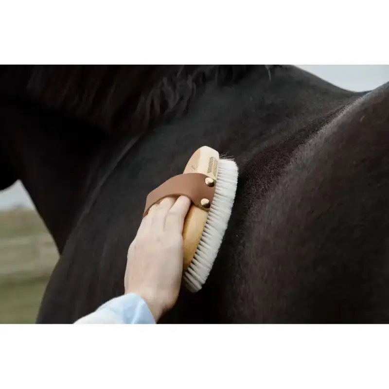 Piccolo spazzola morbida a setole morbide per cavallo Grooming Deluxe