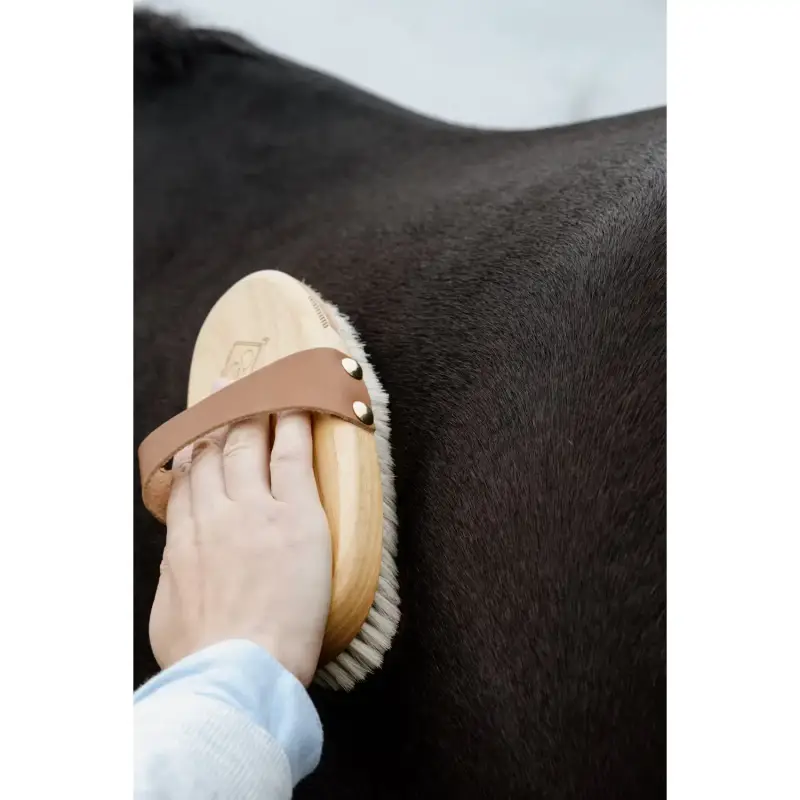 Spazzola per cavalli Grooming Deluxe Overall