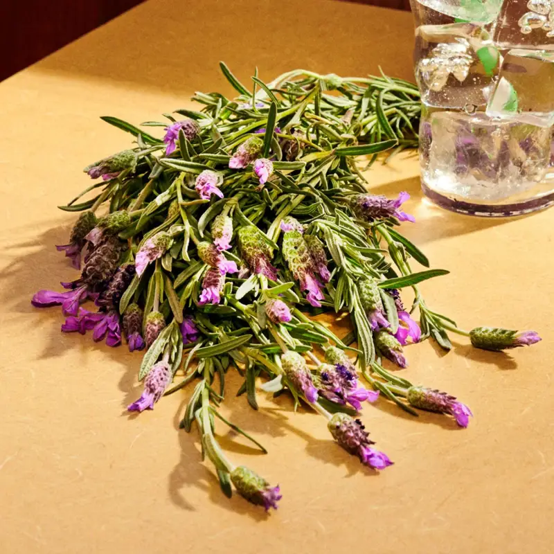 Gucci Eau de Parfum Uomo 3042663 miniatura 5