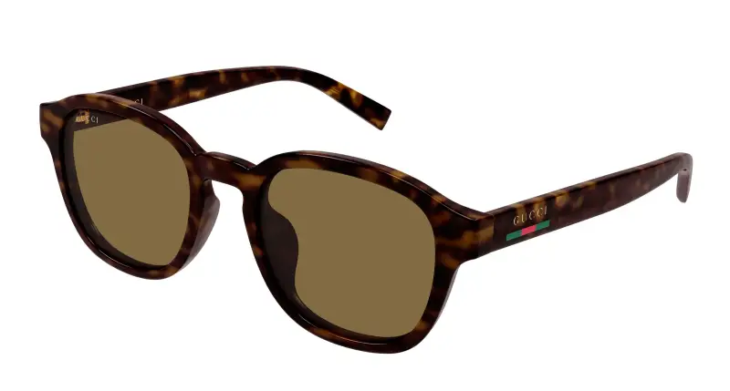 Uomo Gucci GG2109SK 002 Occhiali da sole Iniettato Havana Marrone Rotonda
